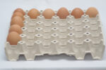Eurotray 1 podnos na vajcia (30 vajec, 60–72 g) – Obrázok 7
